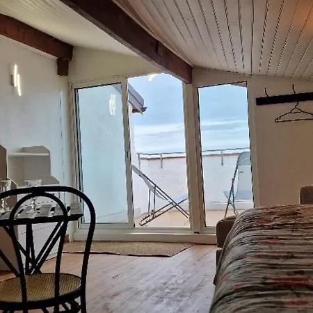 4p Vue Et Montagne Lägenhet *